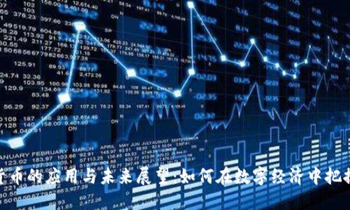 加密货币的应用与未来展望:如何在数字经济中把握机遇