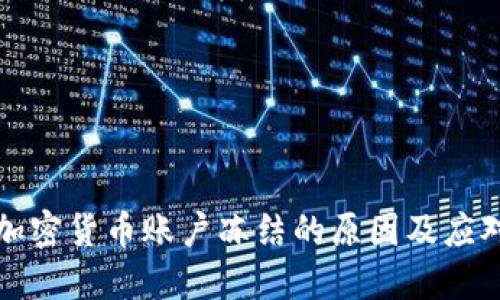 美国加密货币账户冻结的原因及应对策略
