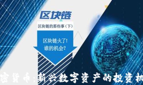仓鼠加密货币:新兴数字资产的投资机会分析