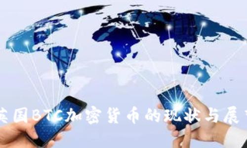 英国BTC加密货币的现状与展望