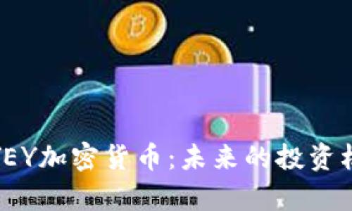 全面解析YEY加密货币：未来的投资机会与风险