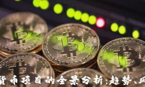 加密数字货币项目的全景分析:趋势、风险与机遇