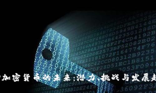 ISP加密货币的未来:潜力、挑战与发展趋势