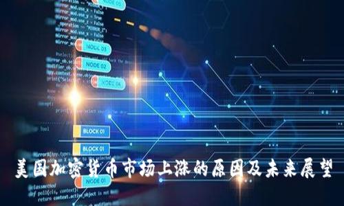 美国加密货币市场上涨的原因及未来展望