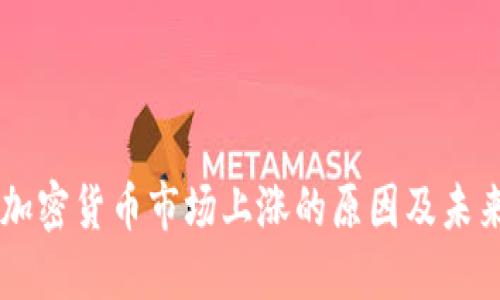 美国加密货币市场上涨的原因及未来展望