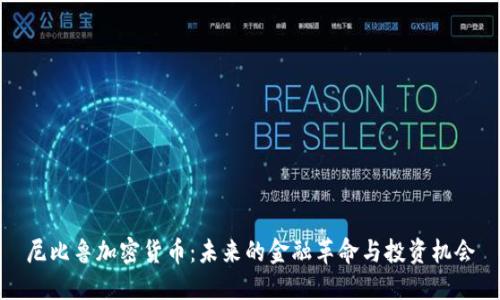 尼比鲁加密货币:未来的金融革命与投资机会