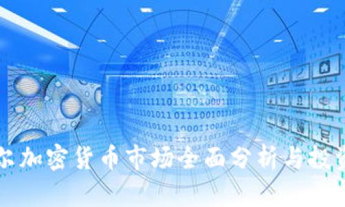 尼泊尔加密货币市场全面分析与投资指南