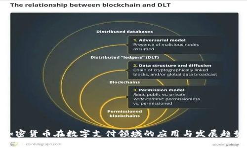 加密货币在数字支付领域的应用与发展趋势
