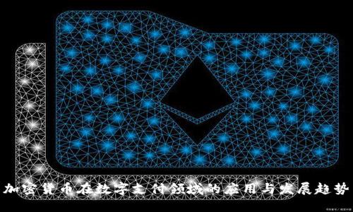 加密货币在数字支付领域的应用与发展趋势