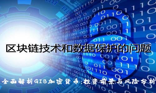 全面解析GIB加密货币：投资前景与风险分析