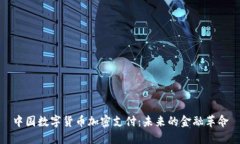 中国数字货币加密支付:未来的金融革命