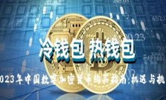 2023年中国数字加密货币购买指南：机遇与挑战