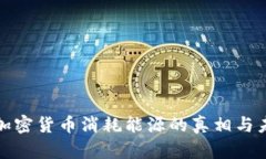 bianqi加密货币消耗能源的真相与未来展望