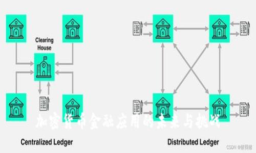 加密货币金融应用的未来与挑战