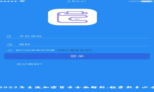 2023年主流加密货币全面解析:投资新手必看