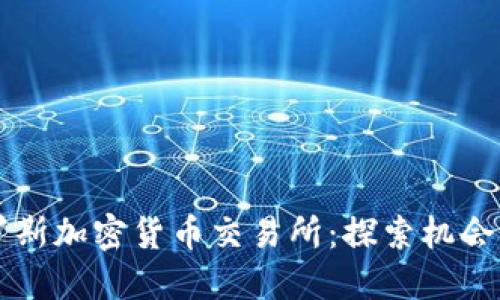 白俄罗斯加密货币交易所:探索机会与挑战