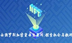 白俄罗斯加密货币交易所:探索机会与挑战