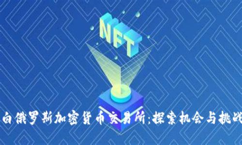 白俄罗斯加密货币交易所:探索机会与挑战