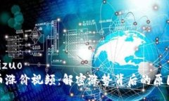 bizuo/bizuo加密货币涨价视频:解密涨势背后的原因