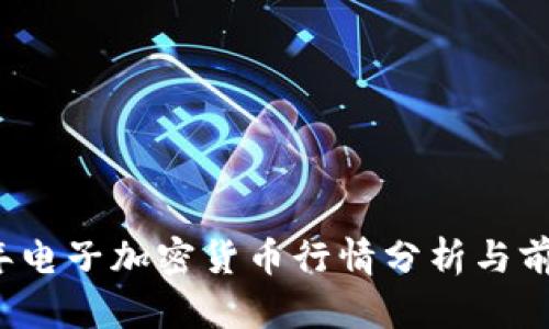 2023年电子加密货币行情分析与前景展望