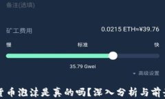 加密货币泡沫是真的吗?深入分析与前景展望