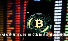 昆明加密货币矿场:潜力与挑战并存的投资机会