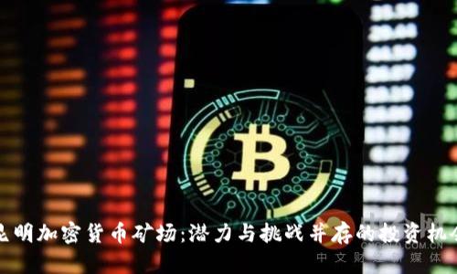 昆明加密货币矿场:潜力与挑战并存的投资机会