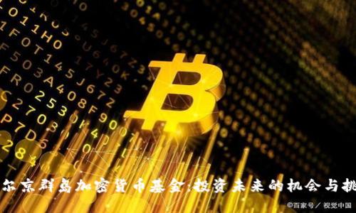 维尔京群岛加密货币基金:投资未来的机会与挑战