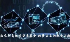 维尔京群岛加密货币基金:投资未来的机会与挑