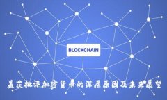 盖茨批评加密货币的深层原因及未来展望