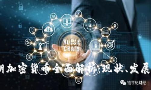2023年伊朗加密货币全面解析：现状、发展与未来趋势
