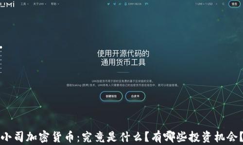 小司加密货币:究竟是什么?有哪些投资机会?