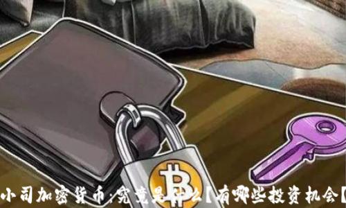 小司加密货币:究竟是什么?有哪些投资机会?