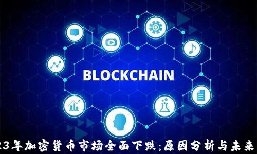 2023年加密货币市场全面下跌:原因分析与未来展望