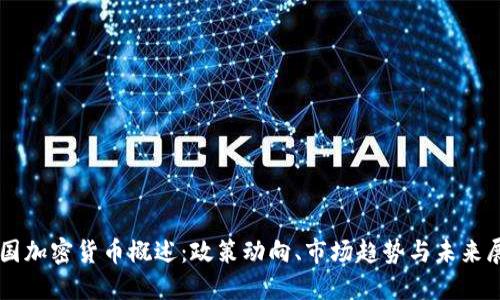 中国加密货币概述:政策动向、市场趋势与未来展望