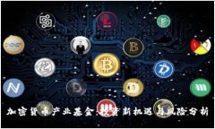 加密货币产业基金：投资新机遇与风险分析