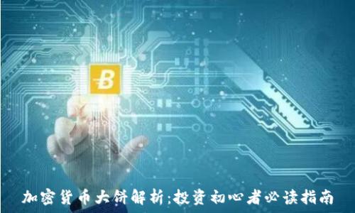 加密货币大饼解析:投资初心者必读指南