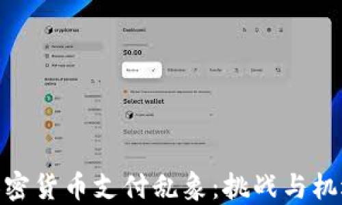 加密货币支付乱象:挑战与机遇