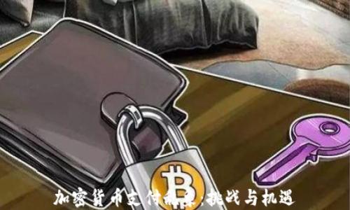 加密货币支付乱象:挑战与机遇