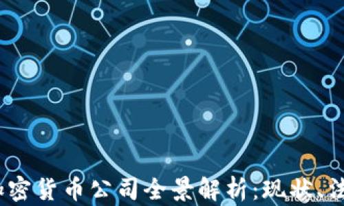 2023年美国加密货币公司全景解析:现状、法规与未来趋势