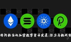 沙特阿拉伯的加密数字货币发展:潜力与挑战分