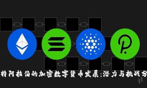 沙特阿拉伯的加密数字货币发展:潜力与挑战分析