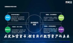 头发加密货币:探索新兴数字资产的未来