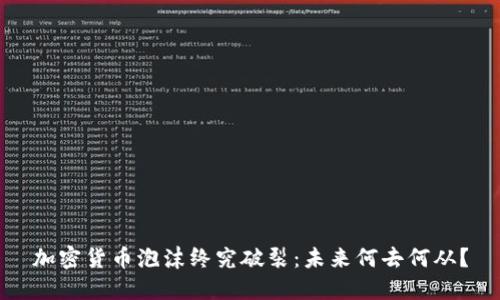加密货币泡沫终究破裂:未来何去何从?