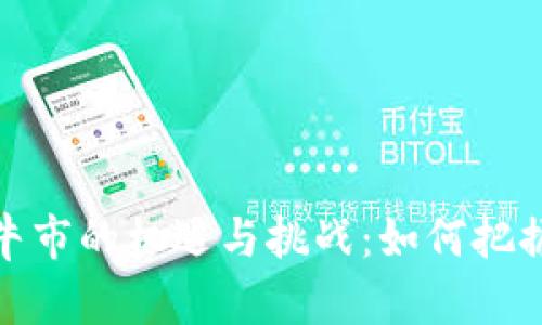加密货币牛市的机遇与挑战:如何把握投资良机