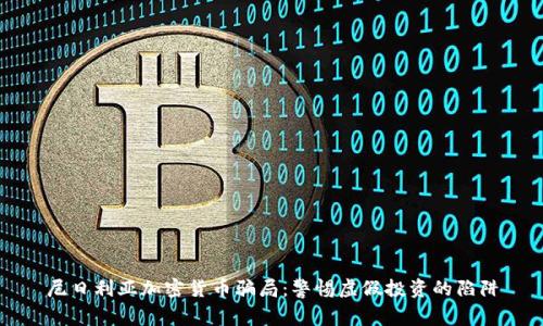 尼日利亚加密货币骗局:警惕虚假投资的陷阱