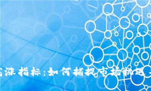 加密货币高涨指标:如何捕捉市场机遇并规避风险