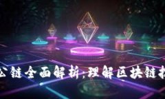 加密货币公链全面解析:理解区块链技术与应用