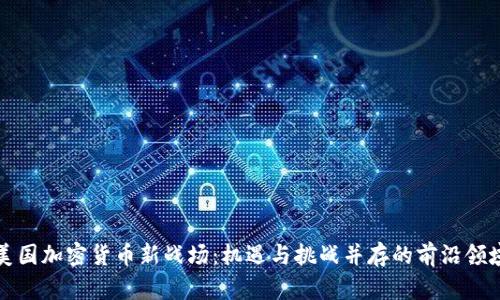 美国加密货币新战场:机遇与挑战并存的前沿领域