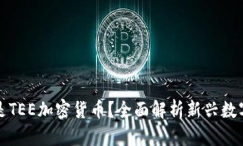 什么是TEE加密货币?全面解析新兴数字资产